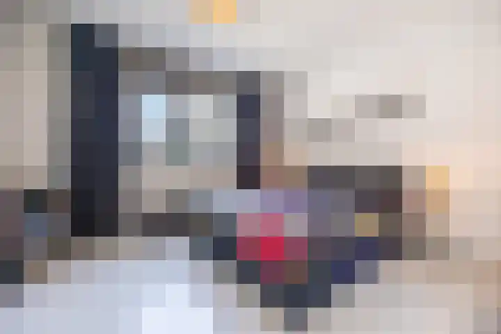 Anemoonlaan 38 d Raamsdonksveer thumbnail 23
