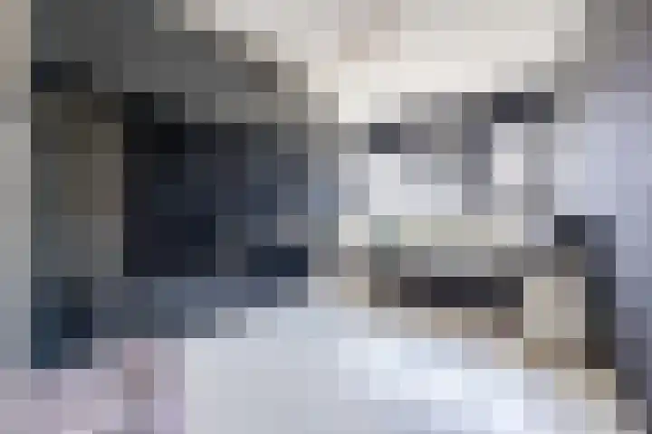 Anemoonlaan 38 d Raamsdonksveer thumbnail 27