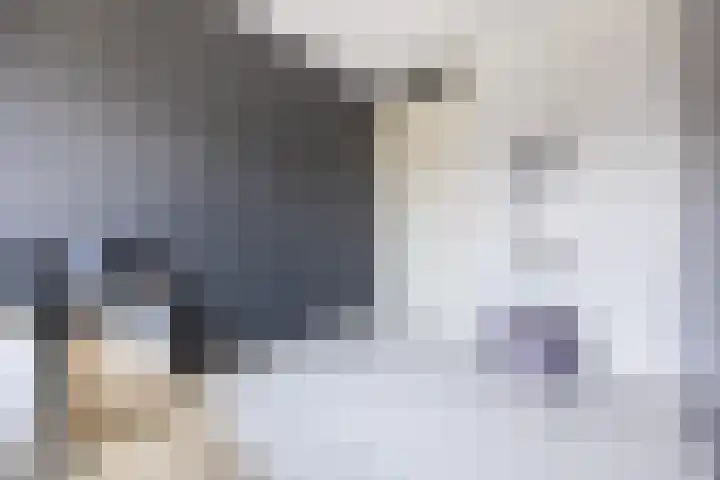 Anemoonlaan 38 d Raamsdonksveer thumbnail 29