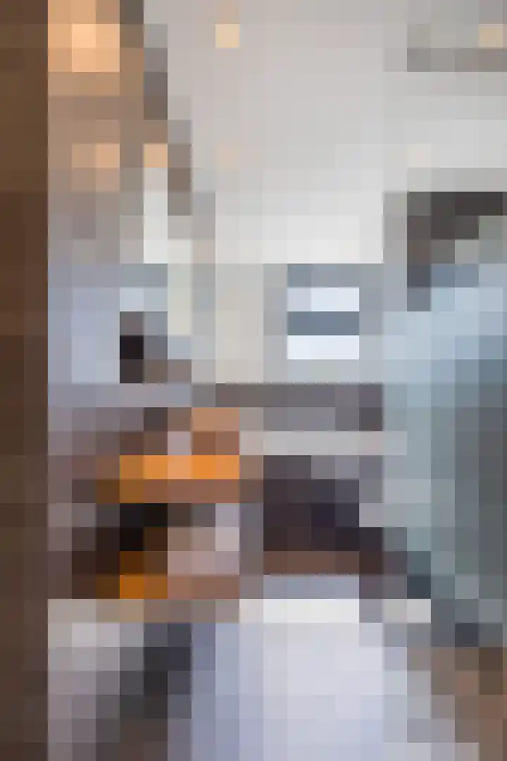 Anemoonlaan 38 d Raamsdonksveer thumbnail 31