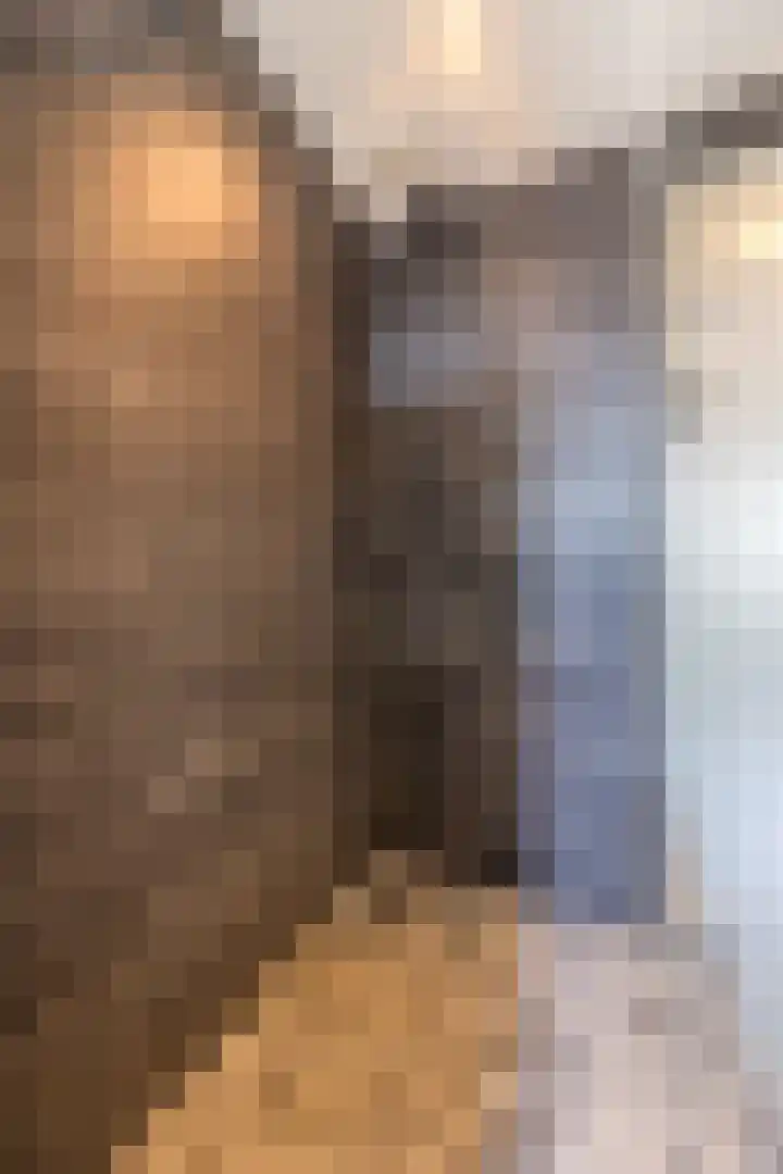 Anemoonlaan 38 d Raamsdonksveer thumbnail 32