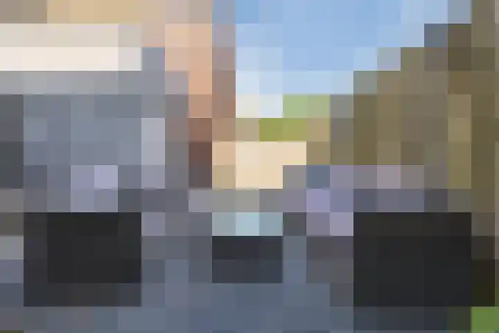 Anemoonlaan 38 d Raamsdonksveer thumbnail 33