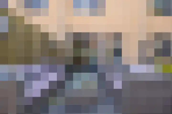 Anemoonlaan 38 d Raamsdonksveer thumbnail 36