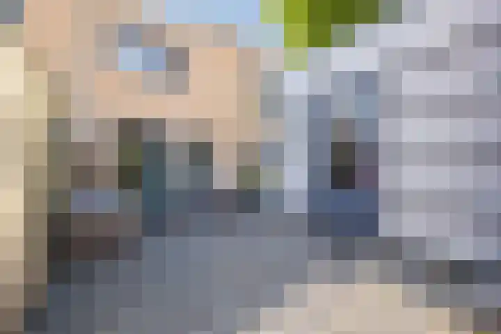 Anemoonlaan 38 d Raamsdonksveer thumbnail 37
