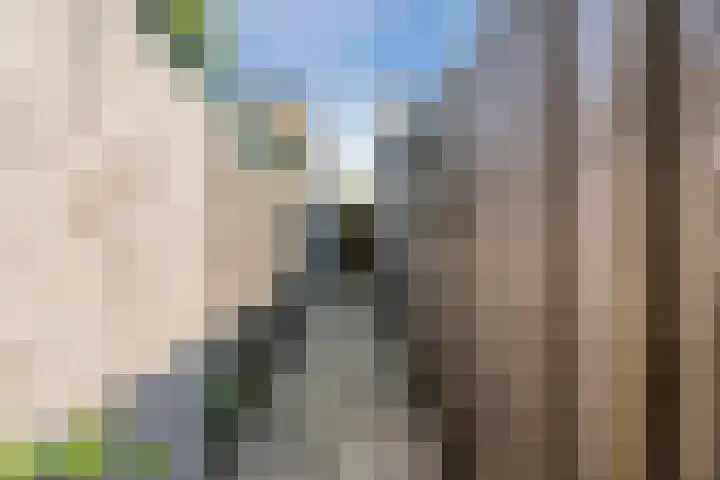 Anemoonlaan 38 d Raamsdonksveer thumbnail 38