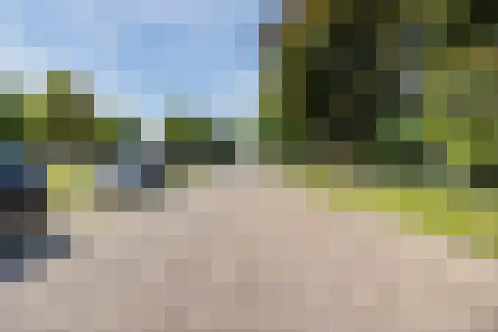 Anemoonlaan 38 d Raamsdonksveer thumbnail 39