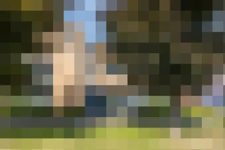 Anemoonlaan 38 d Raamsdonksveer thumbnail 4