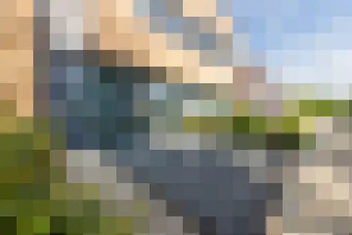 Anemoonlaan 38 d Raamsdonksveer thumbnail 6