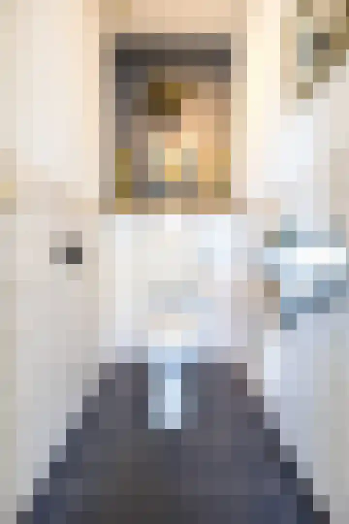 Anemoonlaan 38 d Raamsdonksveer thumbnail 9