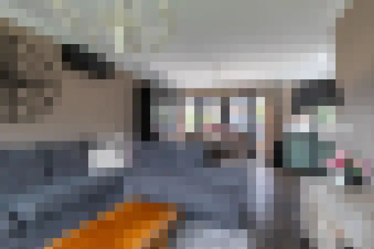 Anemoonlaan 47 Raamsdonksveer thumbnail 13
