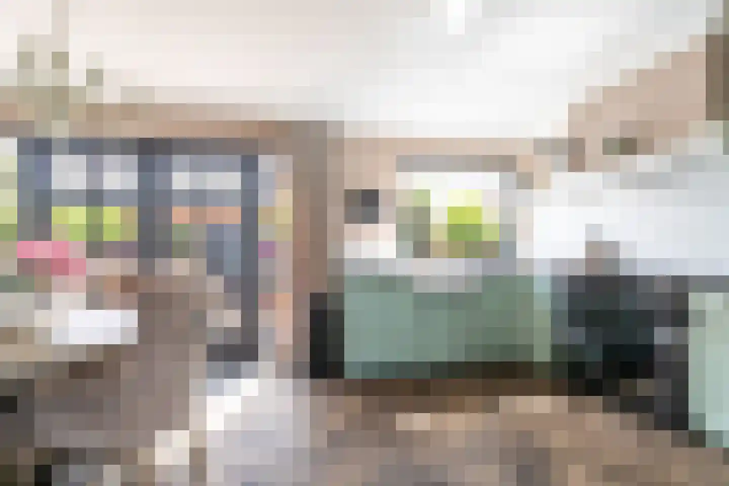 Anemoonlaan 47 Raamsdonksveer thumbnail 14