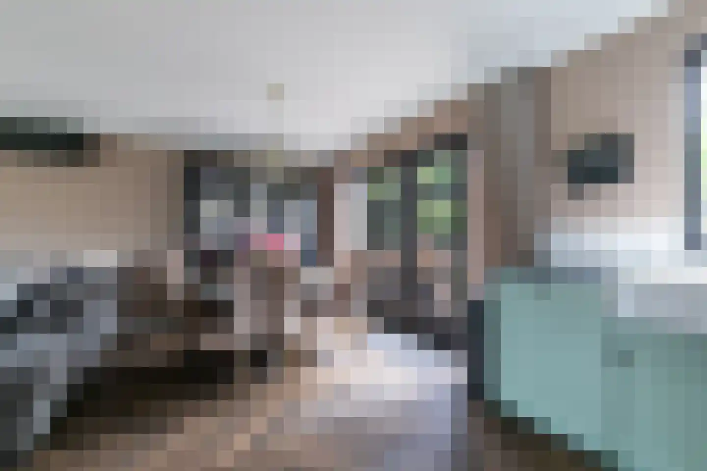 Anemoonlaan 47 Raamsdonksveer thumbnail 16