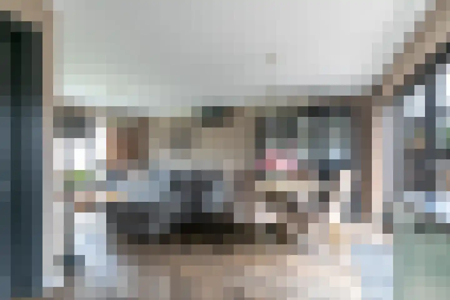 Anemoonlaan 47 Raamsdonksveer thumbnail 17