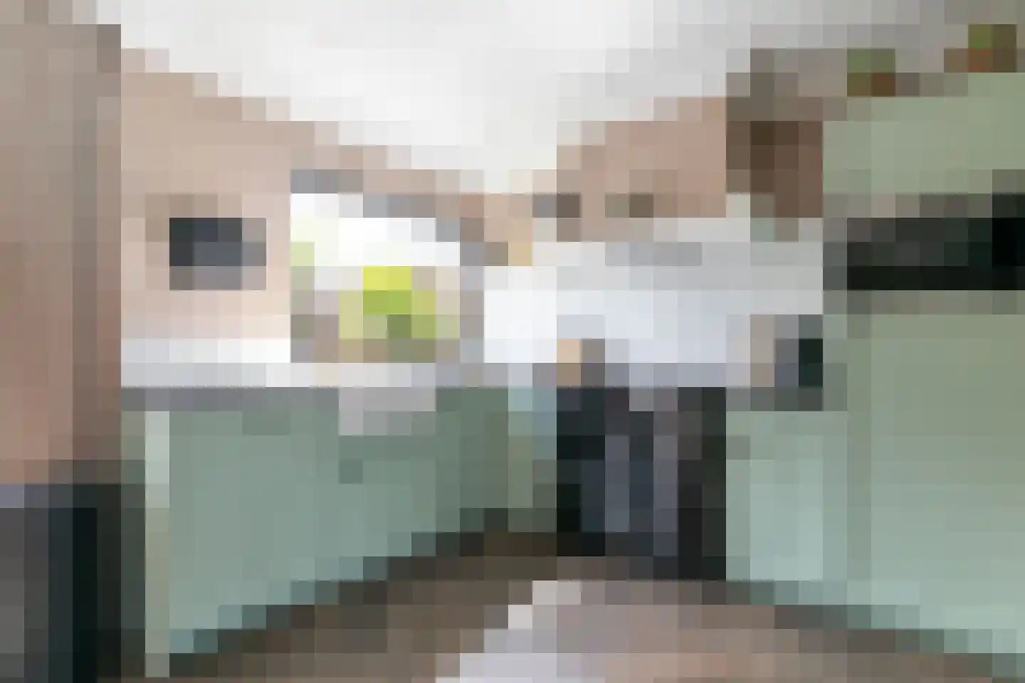 Anemoonlaan 47 Raamsdonksveer thumbnail 19