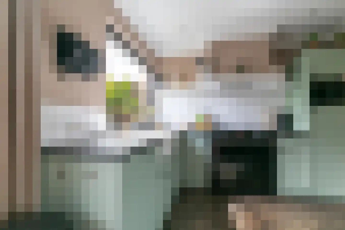 Anemoonlaan 47 Raamsdonksveer thumbnail 21