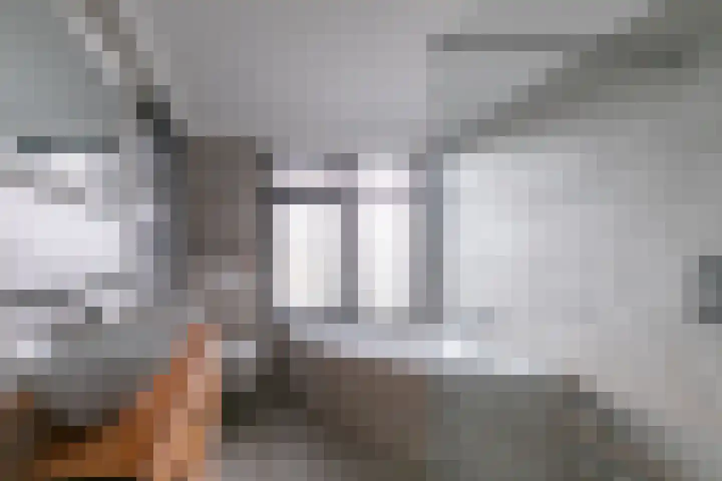 Anemoonlaan 47 Raamsdonksveer thumbnail 27