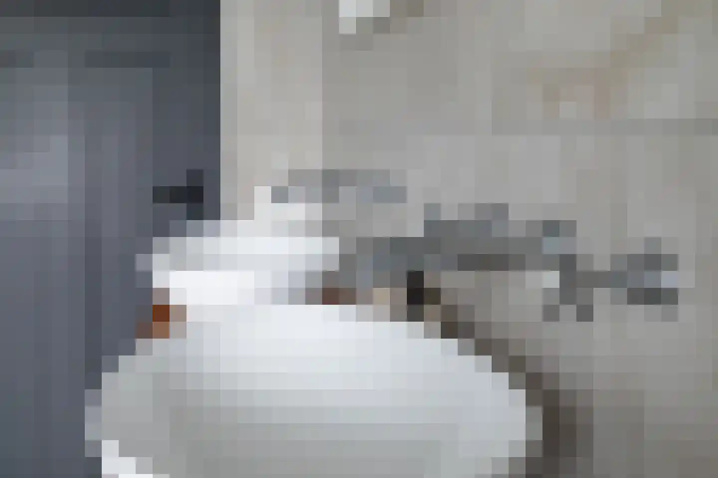 Anemoonlaan 47 Raamsdonksveer thumbnail 29
