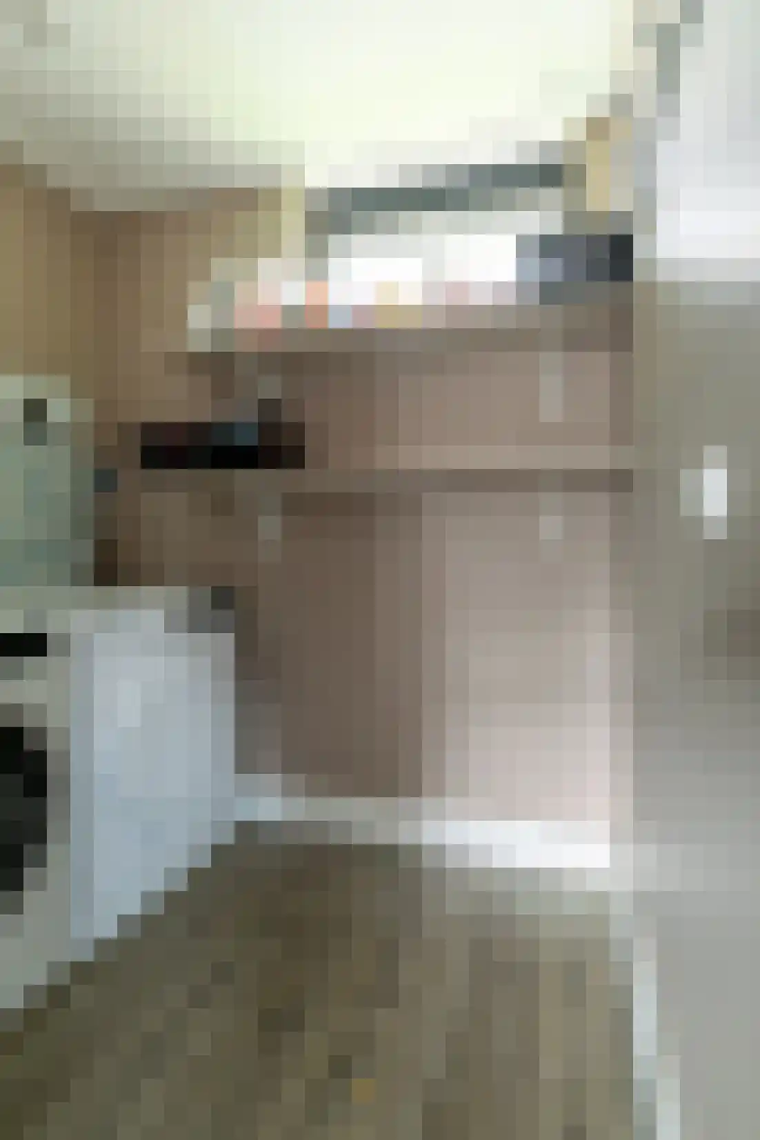 Anemoonlaan 47 Raamsdonksveer thumbnail 32