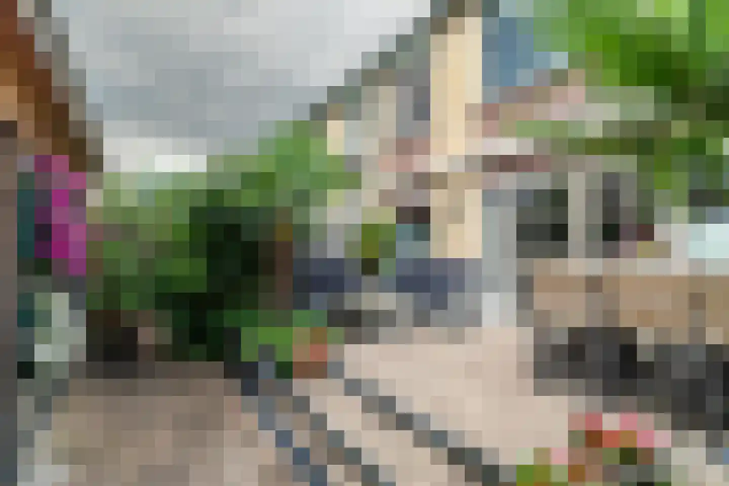 Anemoonlaan 47 Raamsdonksveer thumbnail 37