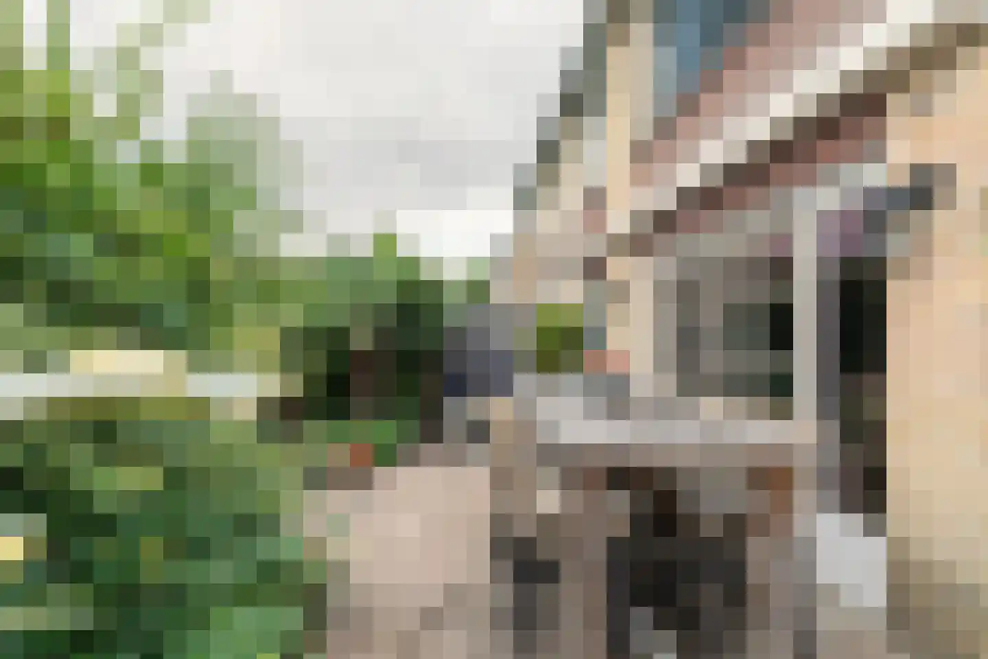 Anemoonlaan 47 Raamsdonksveer thumbnail 40