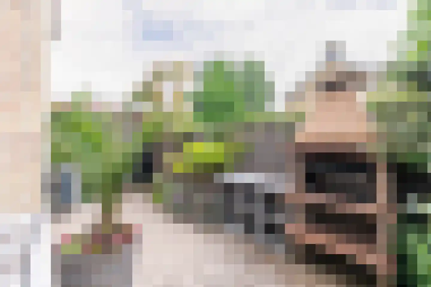 Anemoonlaan 47 Raamsdonksveer thumbnail 42