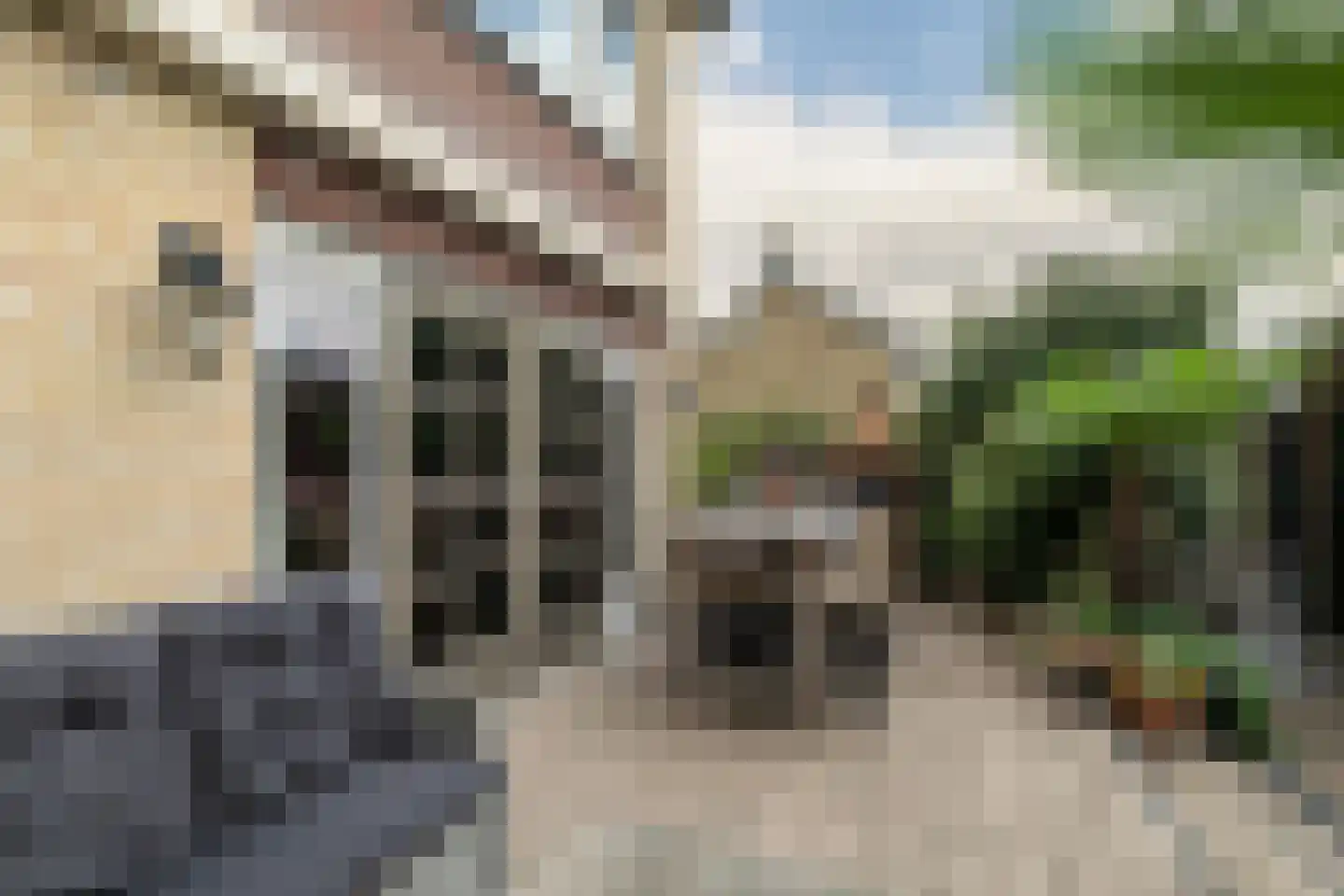 Anemoonlaan 47 Raamsdonksveer thumbnail 43