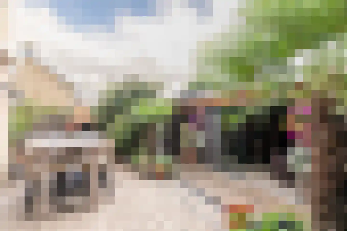 Anemoonlaan 47 Raamsdonksveer thumbnail 44