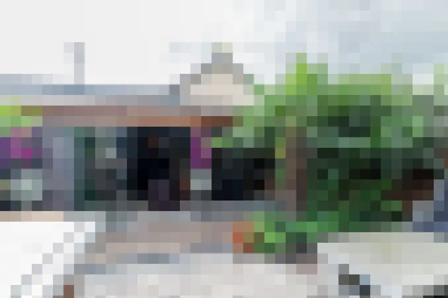 Anemoonlaan 47 Raamsdonksveer thumbnail 45