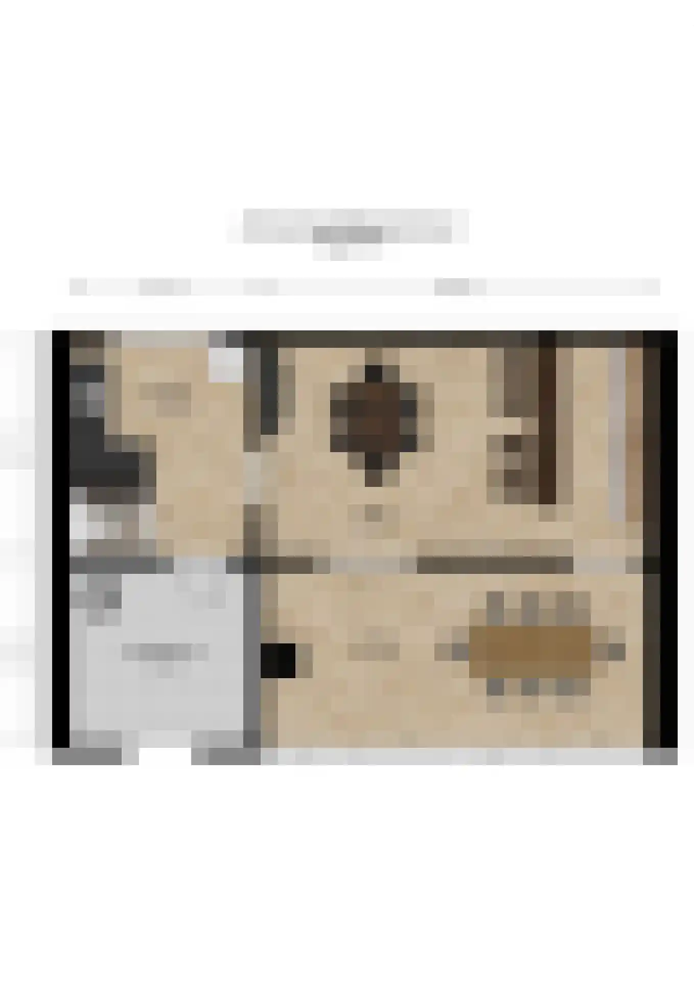 Anemoonlaan 47 Raamsdonksveer thumbnail 55