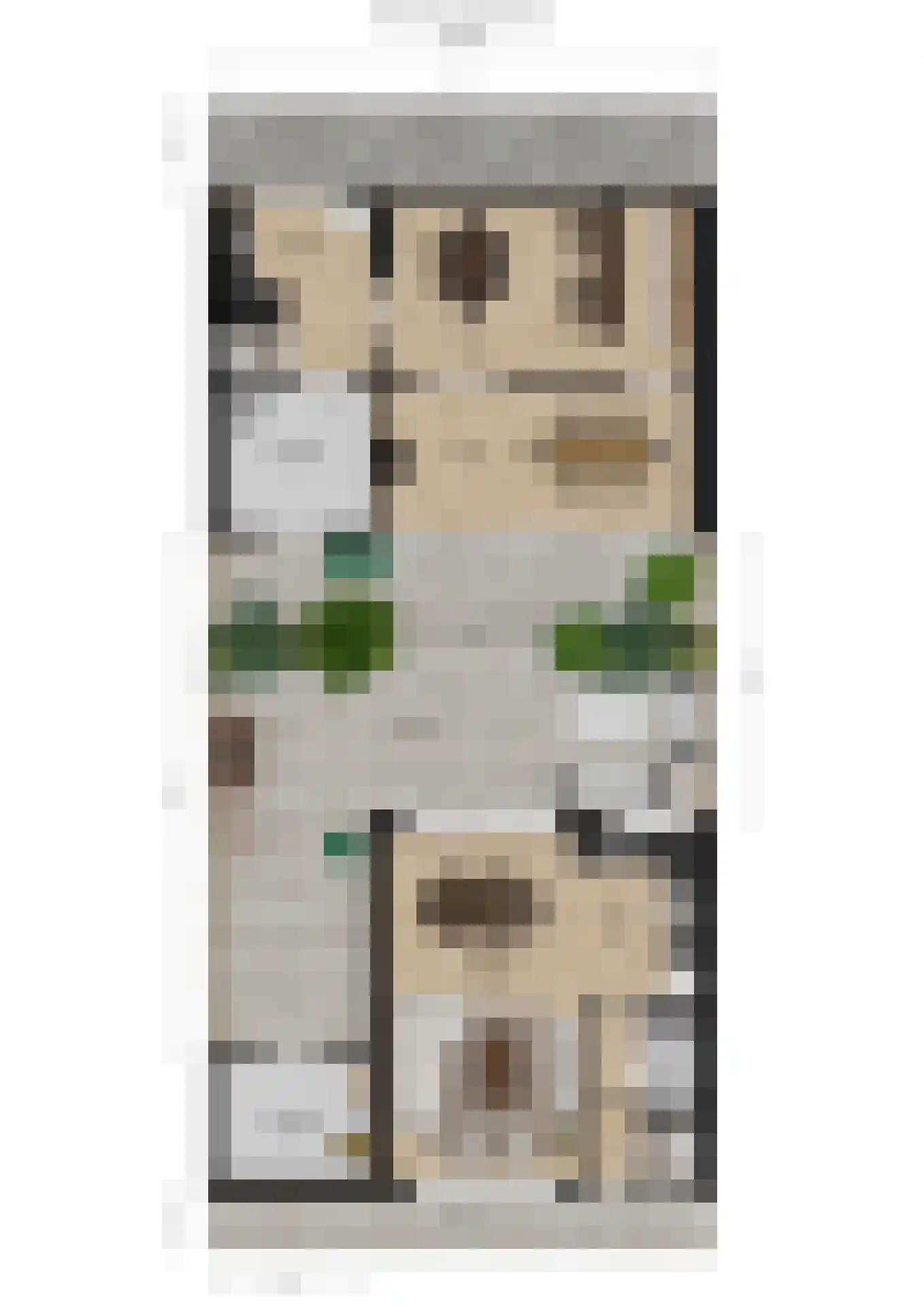 Anemoonlaan 47 Raamsdonksveer thumbnail 58
