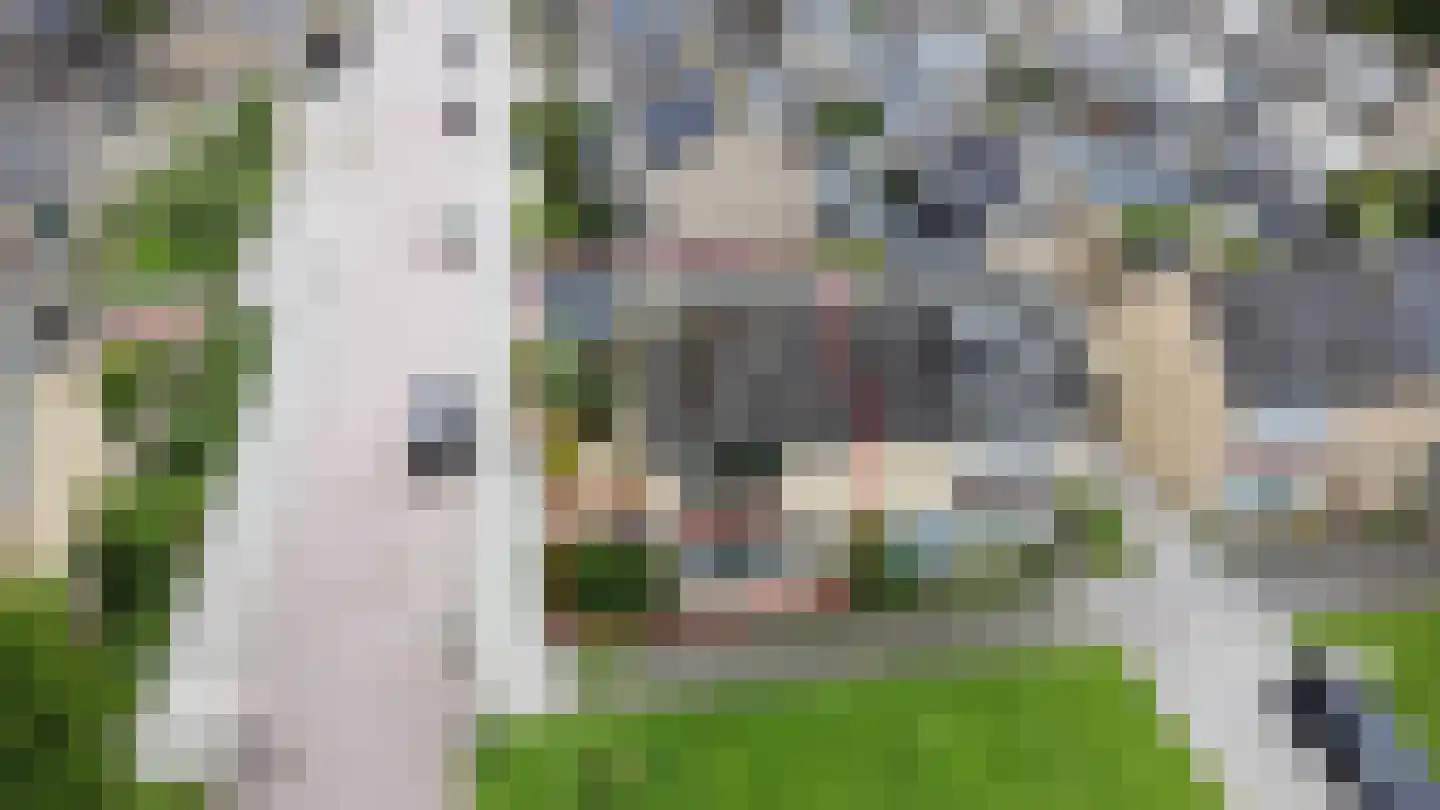 Anemoonlaan 47 Raamsdonksveer thumbnail 8
