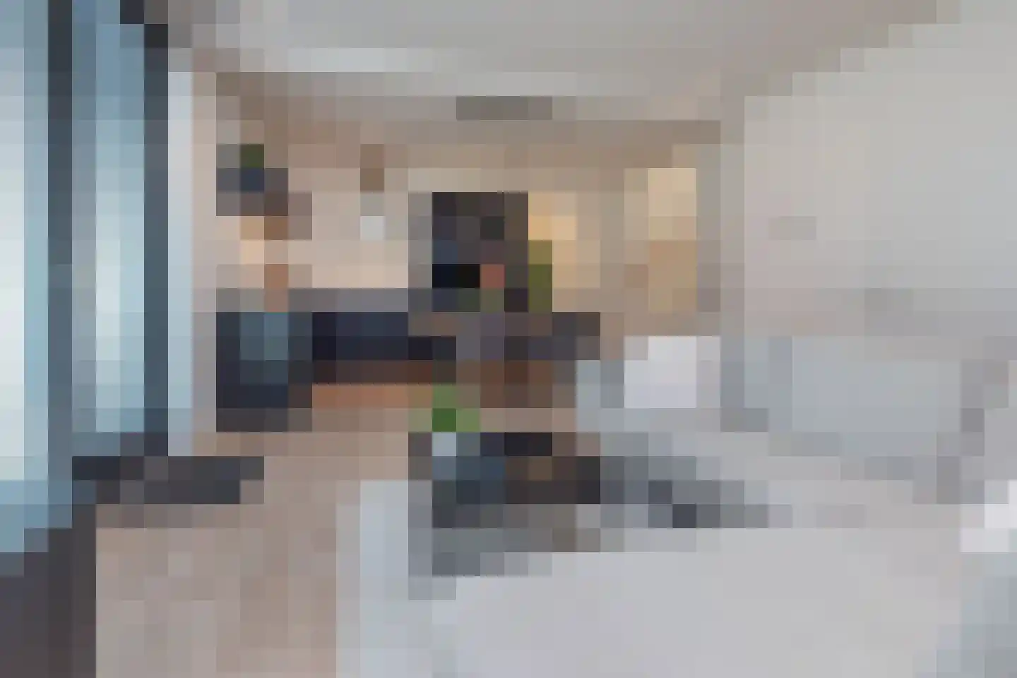 Anemoonlaan 61 De Kwakel thumbnail 10