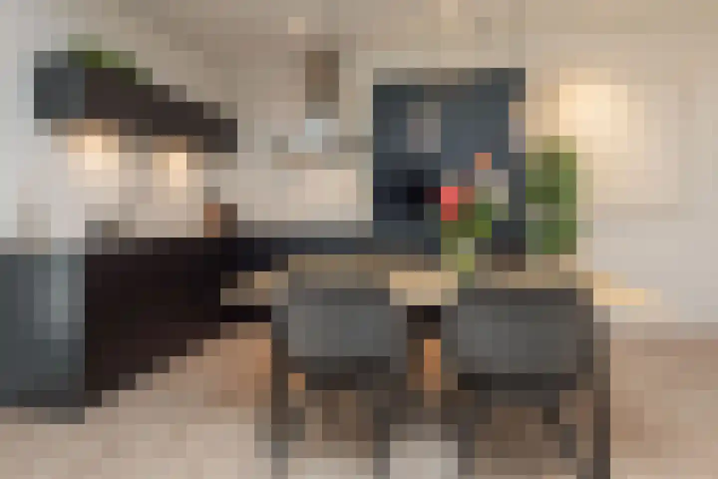 Anemoonlaan 61 De Kwakel thumbnail 12