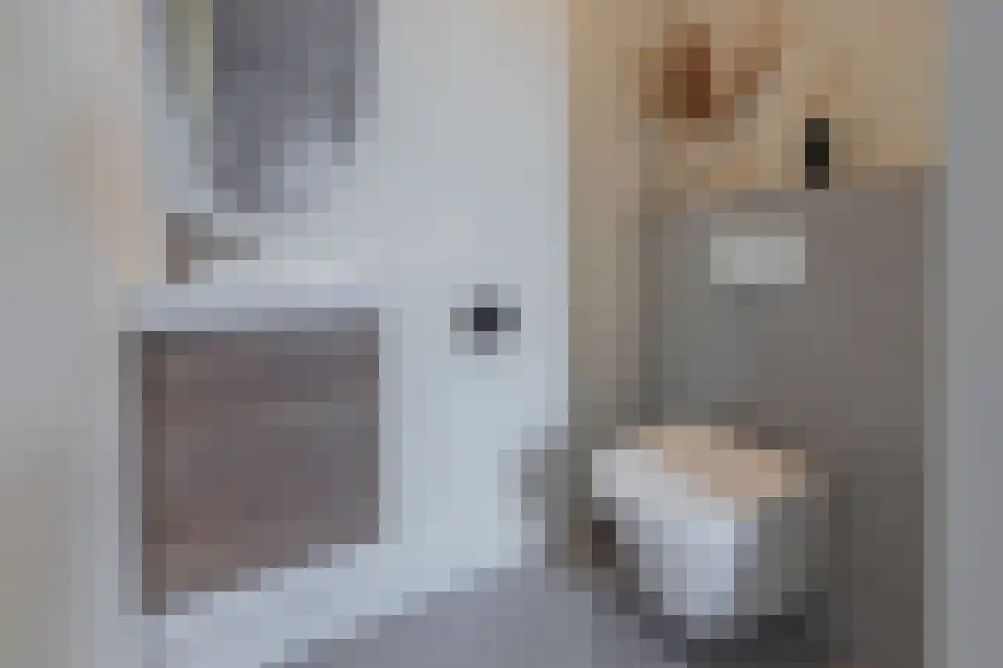 Anemoonlaan 61 De Kwakel thumbnail 13