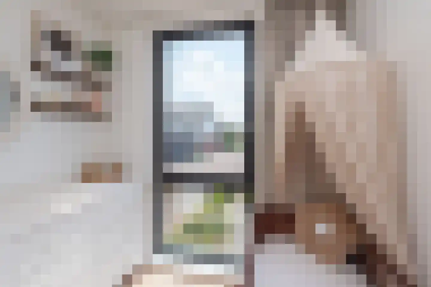 Anemoonlaan 61 De Kwakel thumbnail 19