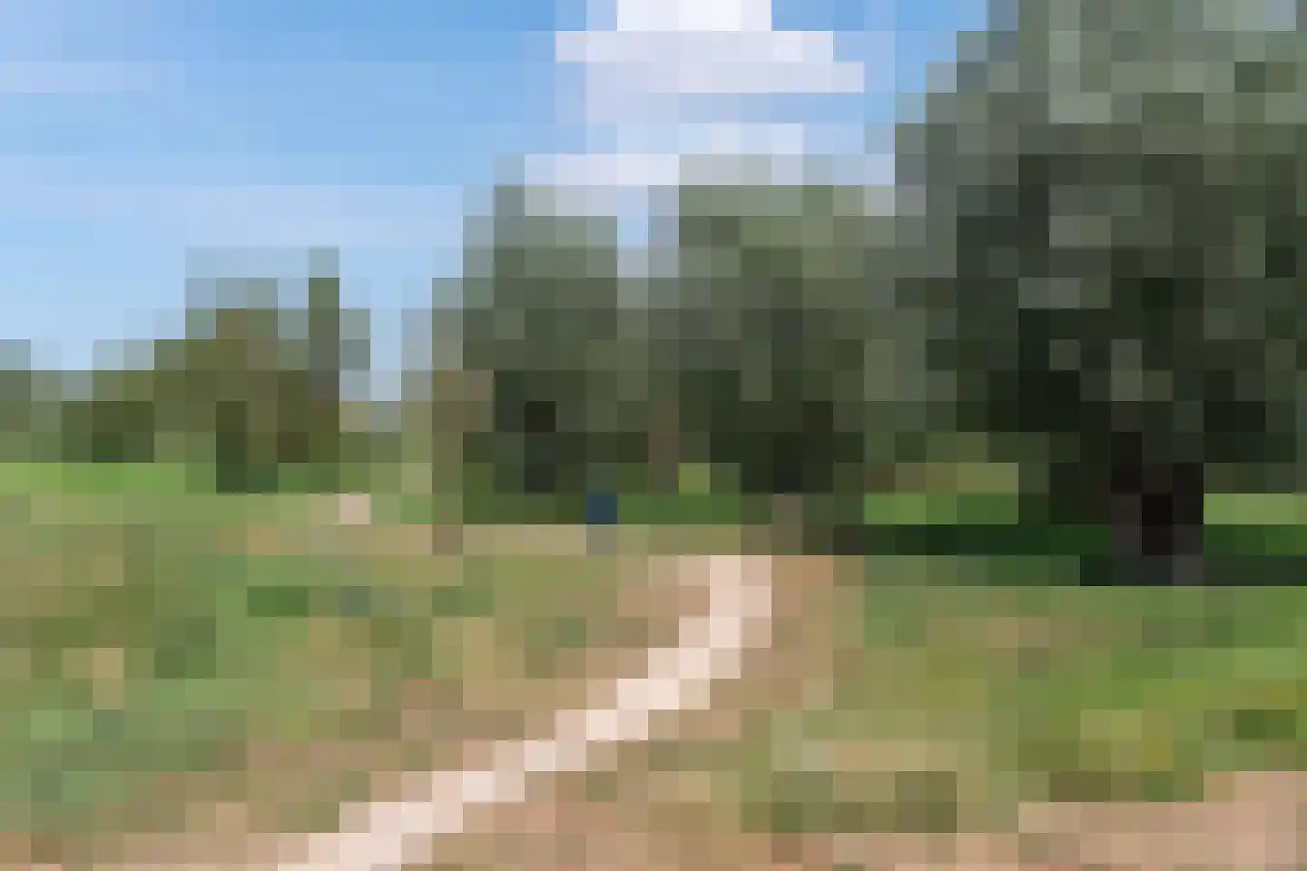 Anemoonlaan 61 De Kwakel thumbnail 22