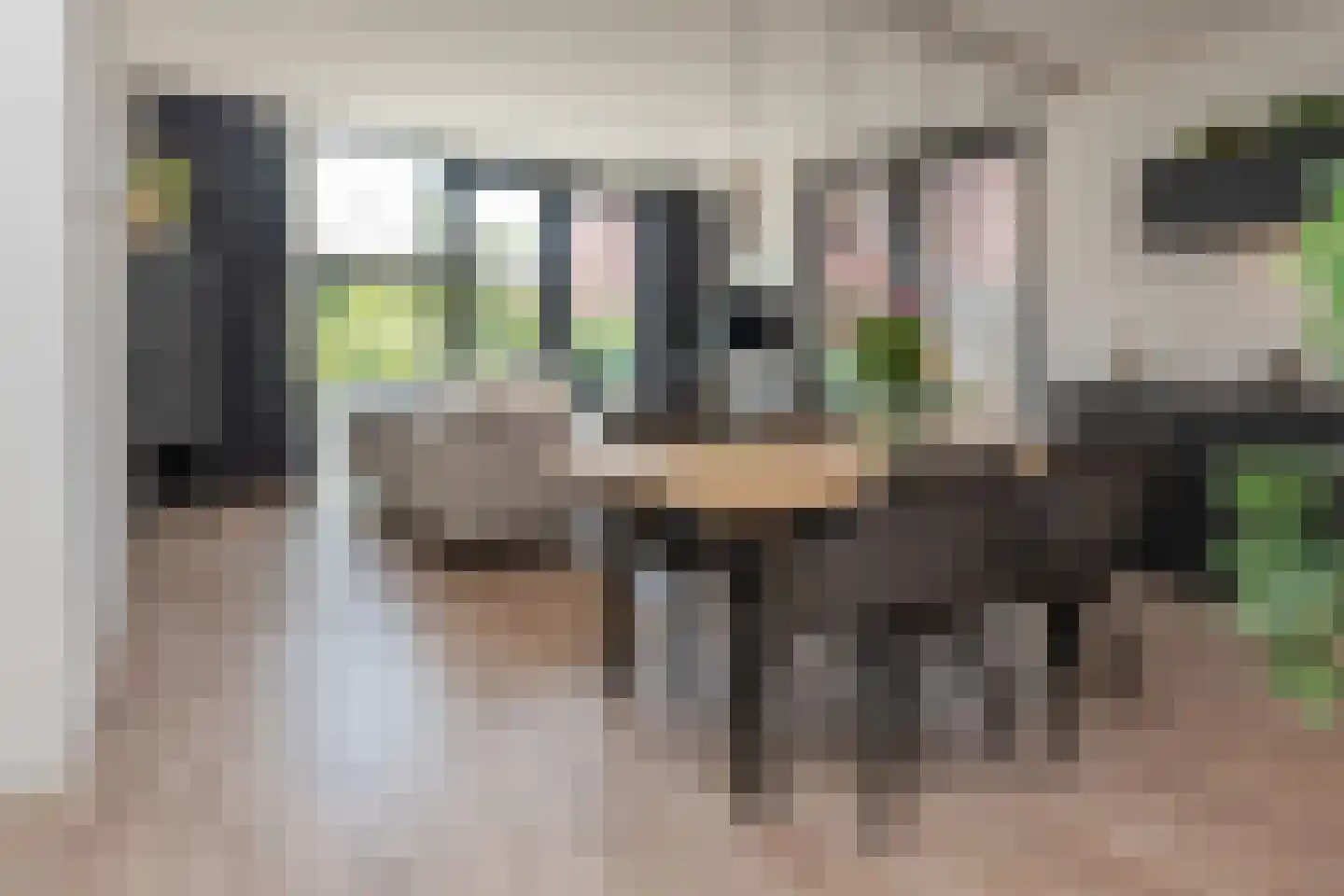 Anemoonlaan 61 De Kwakel thumbnail 7