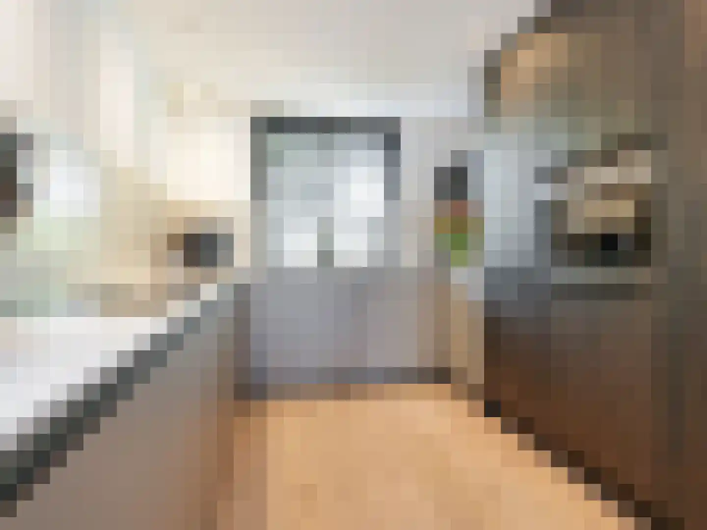 Anemoonlaan 7 Badhoevedorp thumbnail 14
