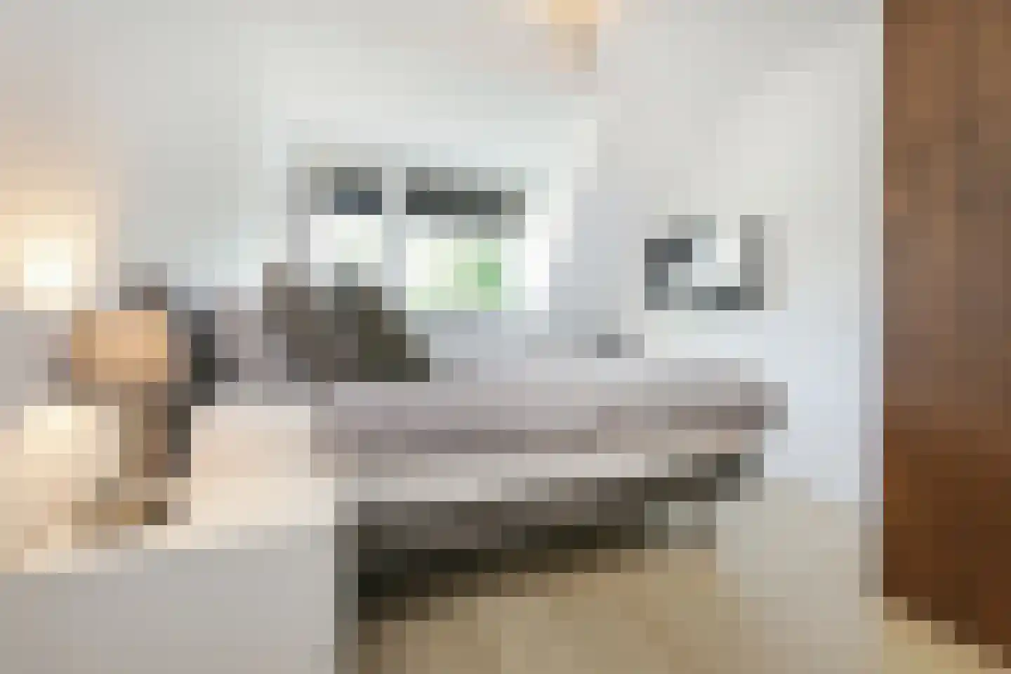 Anemoonlaan 7 Badhoevedorp thumbnail 19