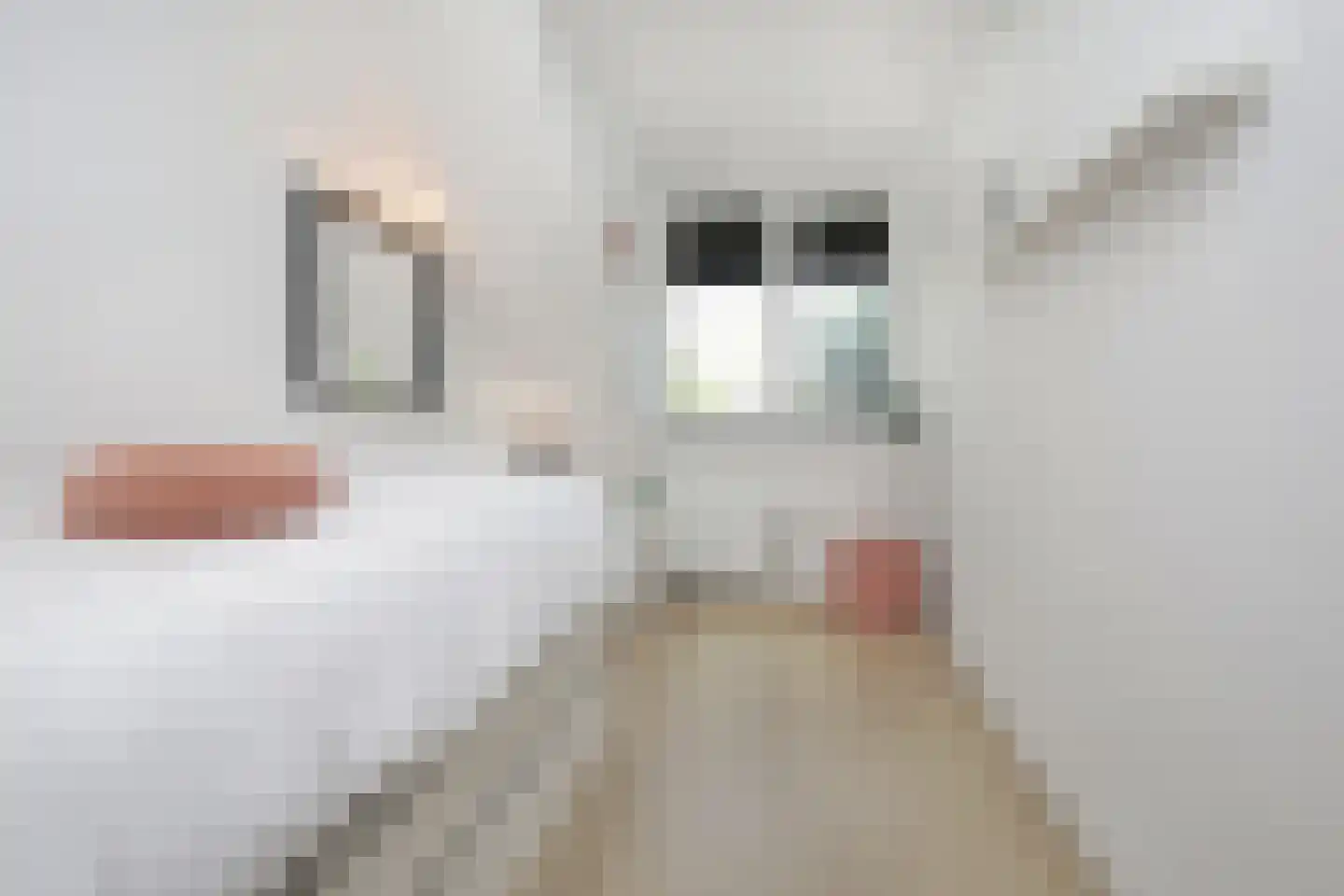 Anemoonlaan 7 Badhoevedorp thumbnail 21