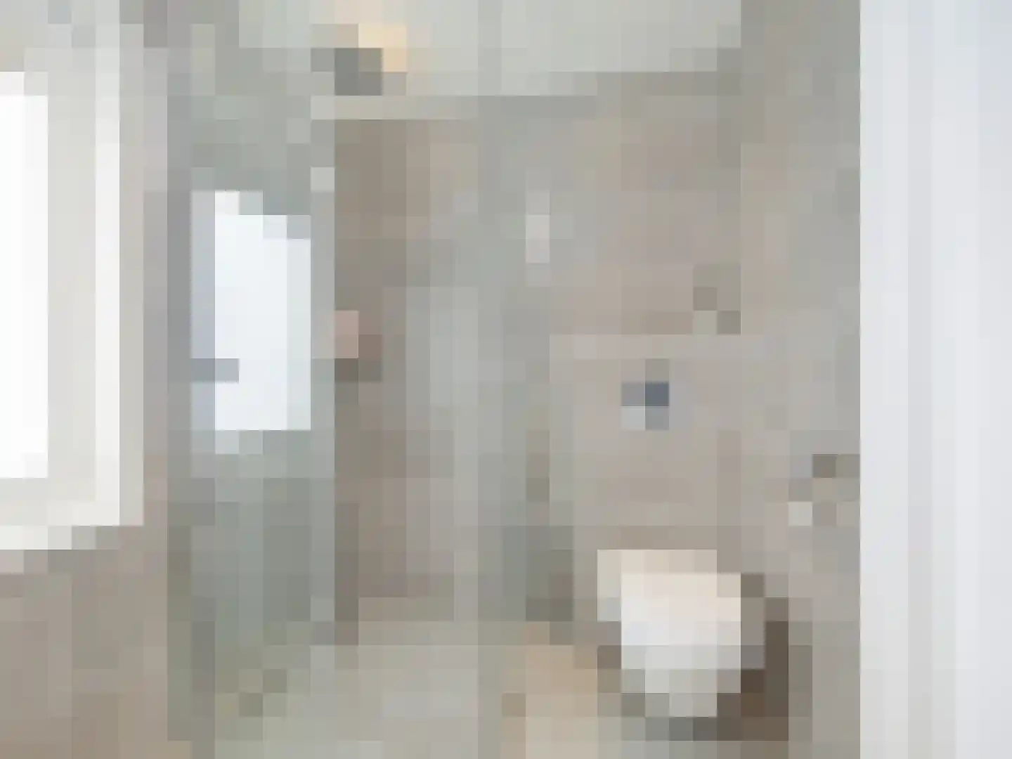 Anemoonlaan 7 Badhoevedorp thumbnail 24