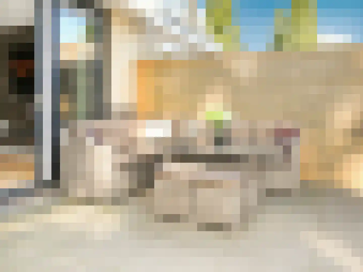 Anemoonlaan 7 Badhoevedorp thumbnail 33