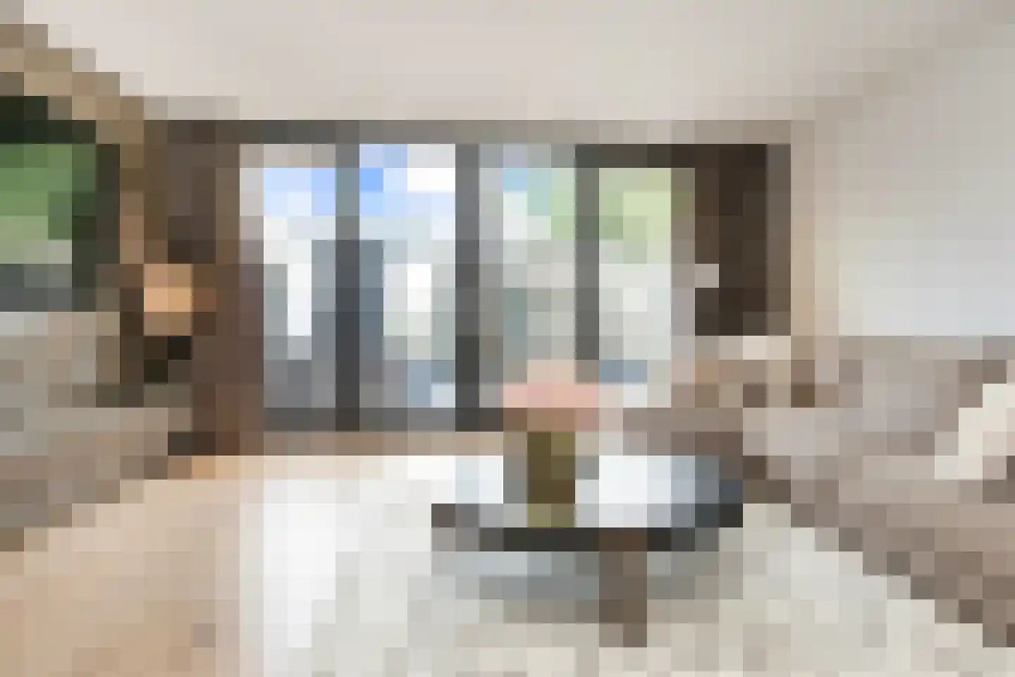 Anemoonlaan 7 Badhoevedorp thumbnail 4