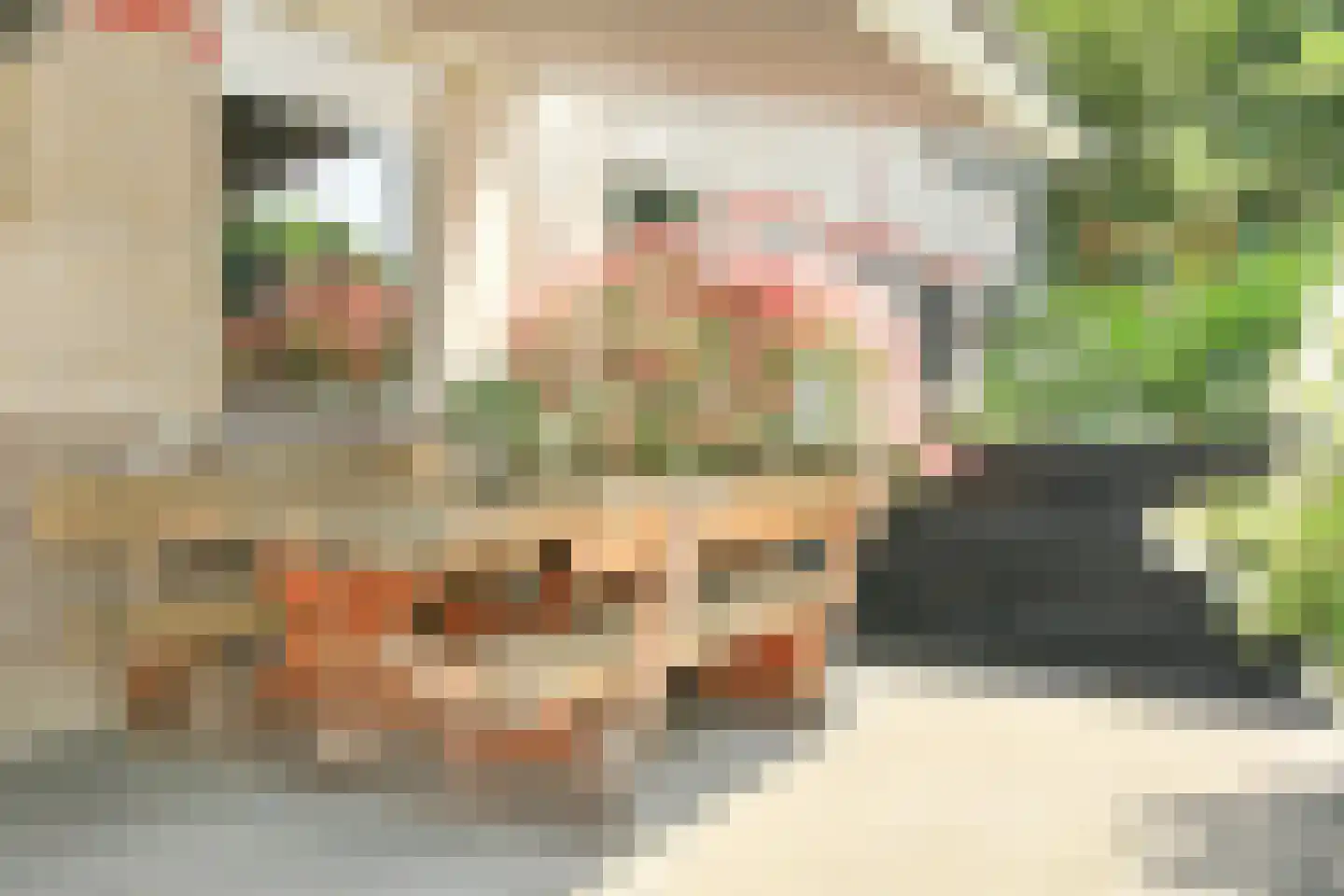 Anemoonlaan 7 Badhoevedorp thumbnail 41