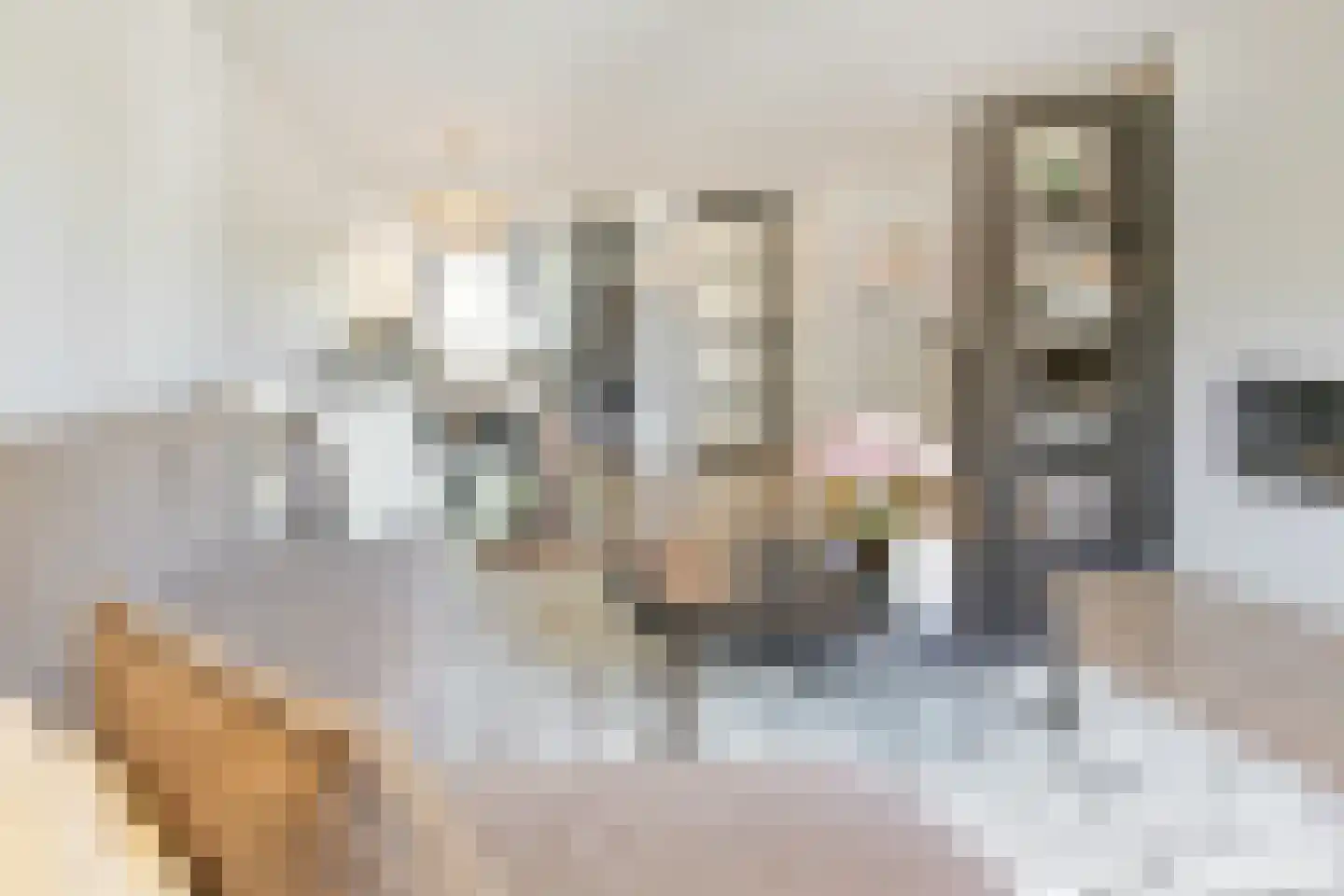 Anemoonlaan 7 Badhoevedorp thumbnail 5