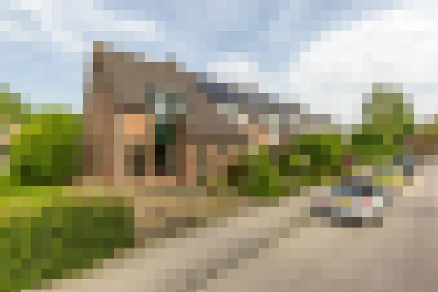 Anemoonpad 29 's-Gravendeel
