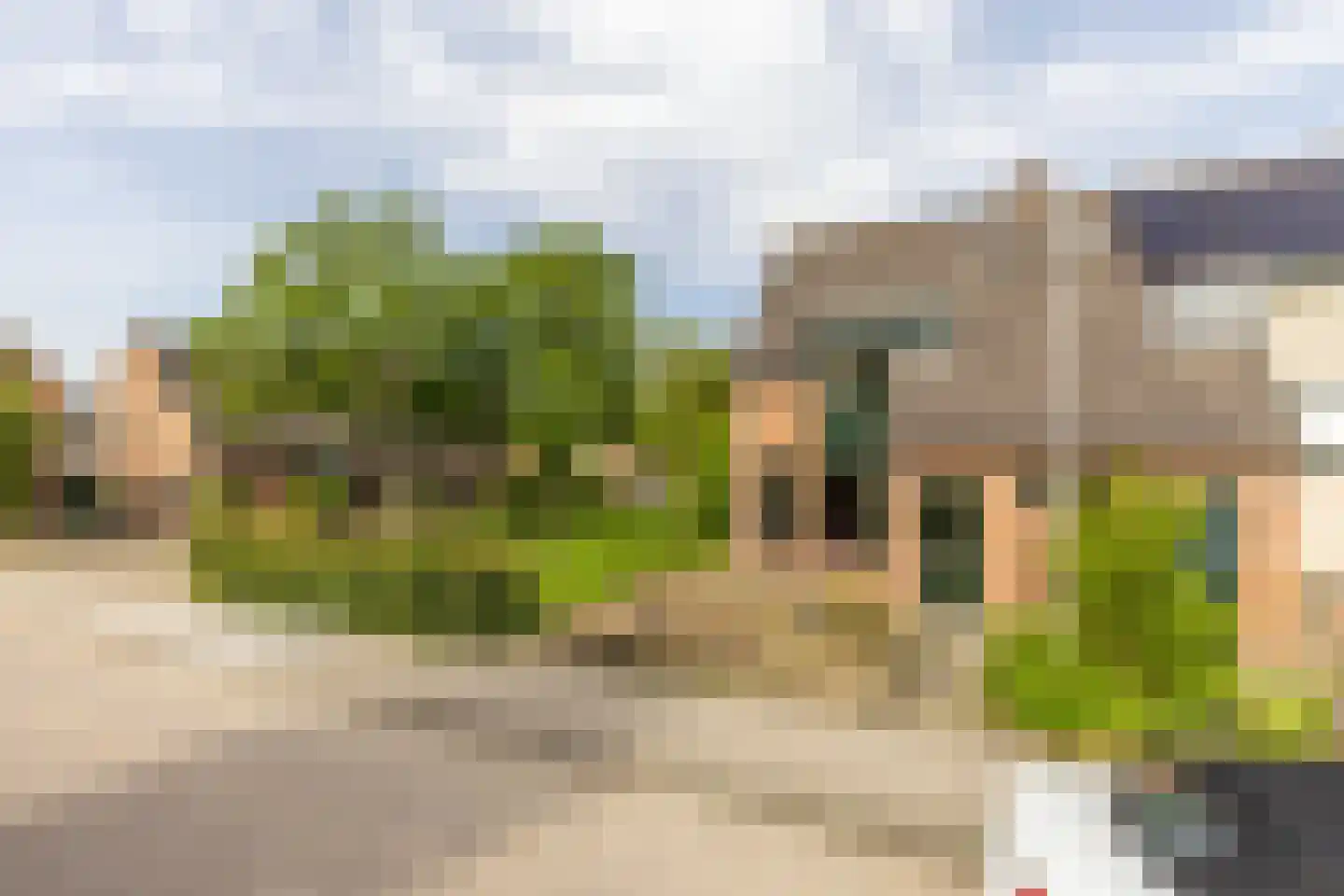 Anemoonpad 29 's-Gravendeel thumbnail 24