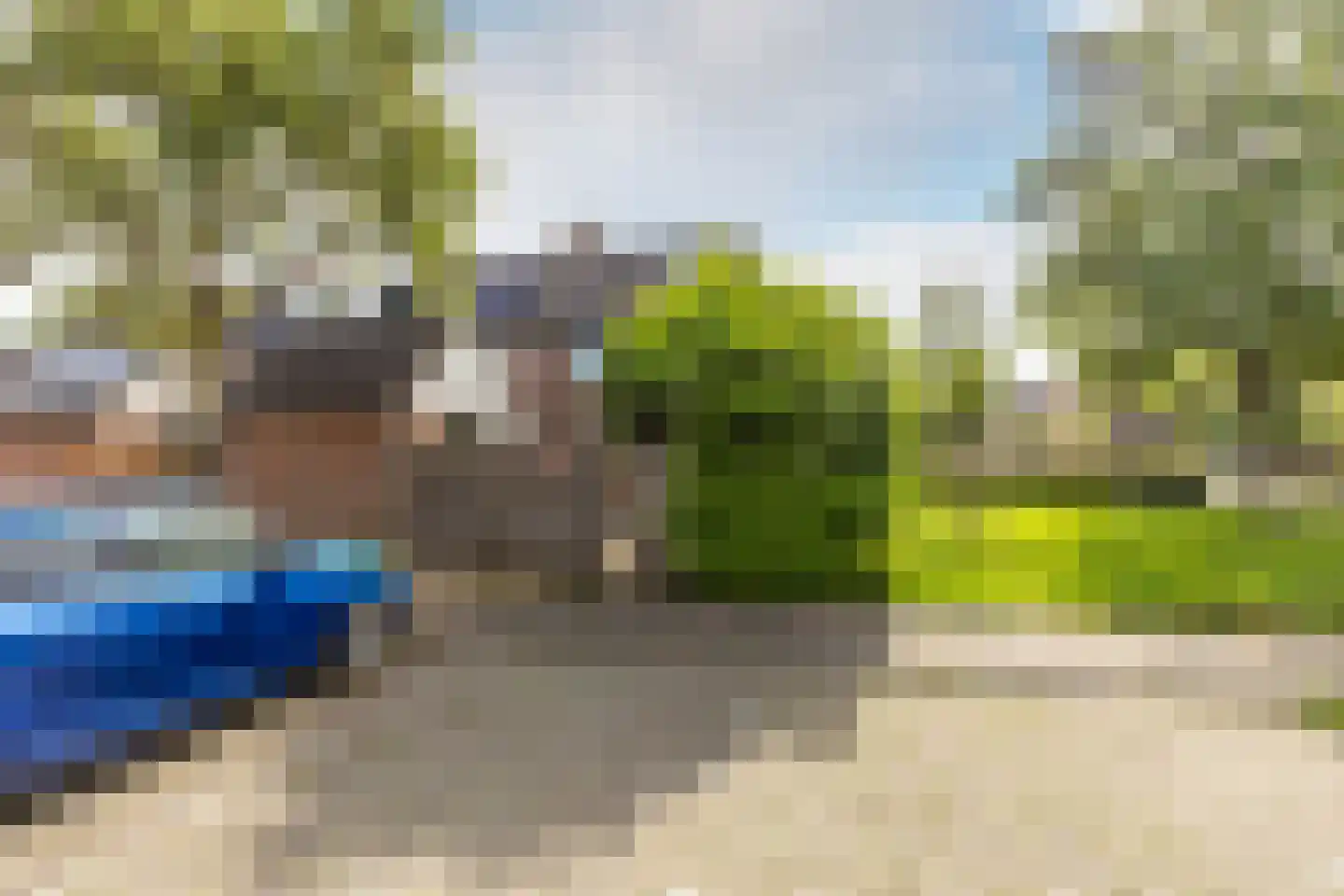 Anemoonpad 29 's-Gravendeel thumbnail 26