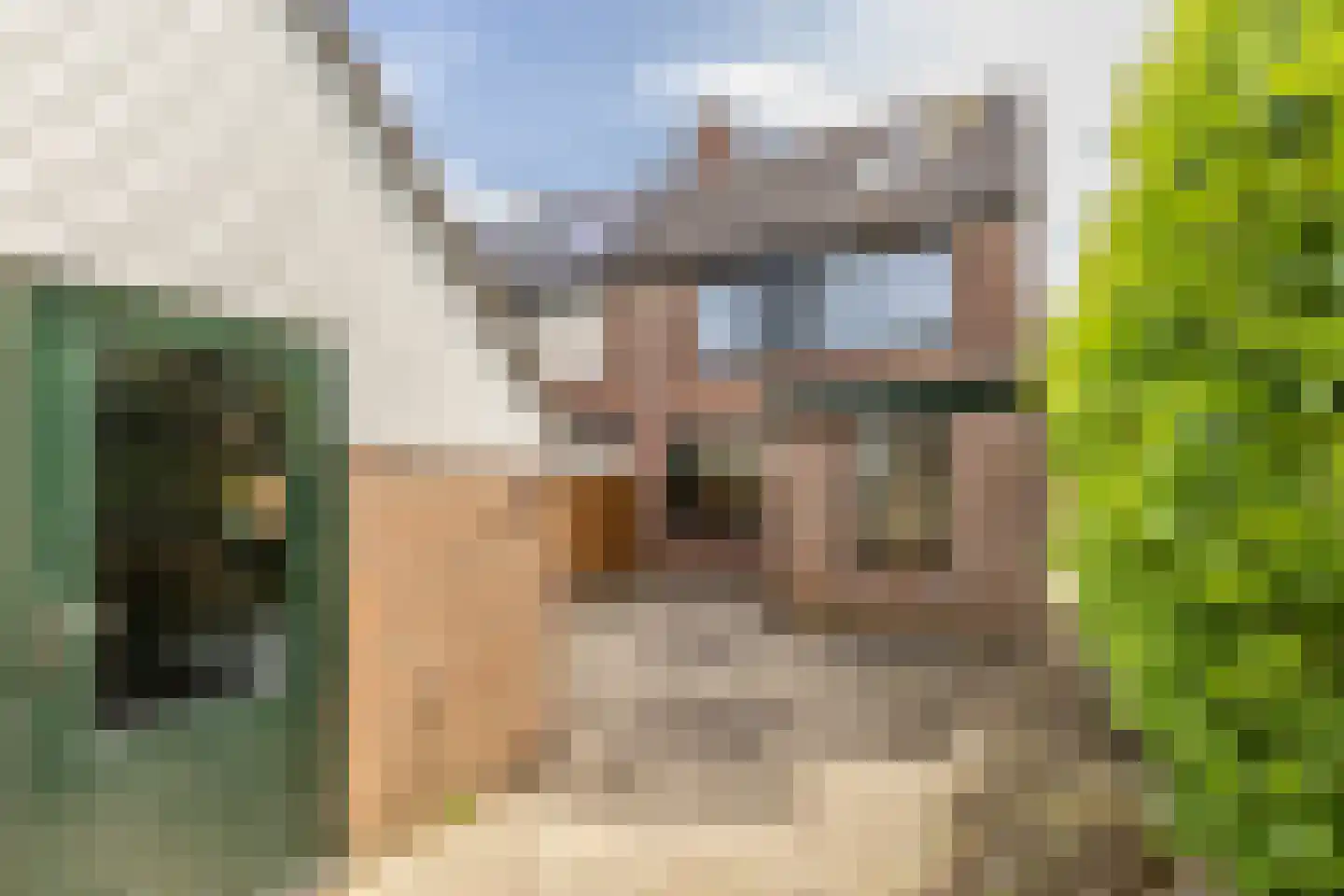 Anemoonpad 29 's-Gravendeel thumbnail 27