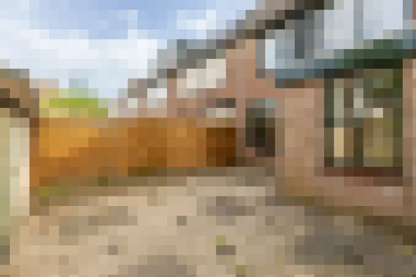 Anemoonpad 29 's-Gravendeel thumbnail 4